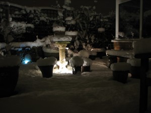 Beanari Garden in the Snow